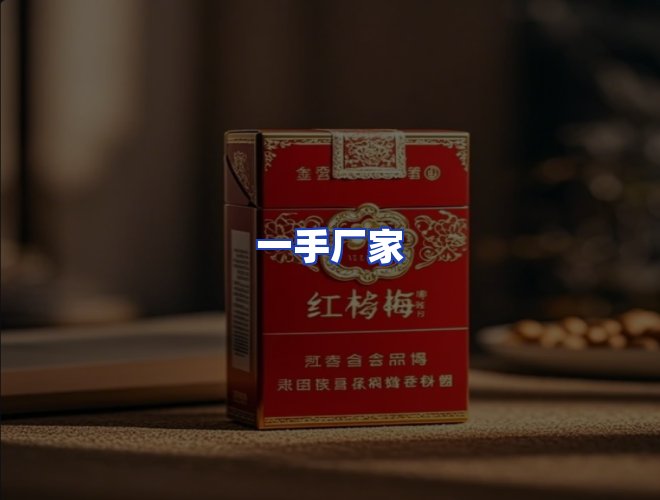专业团队